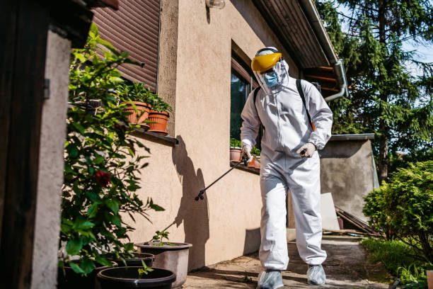 Best Flea Control Services  in Gleed, WA