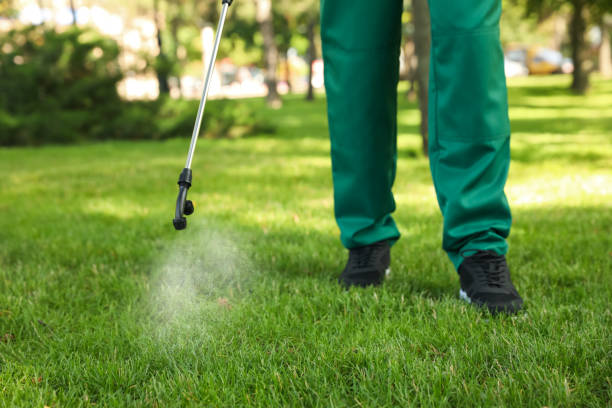 Reliable Gleed, WA Pest Control Solutions